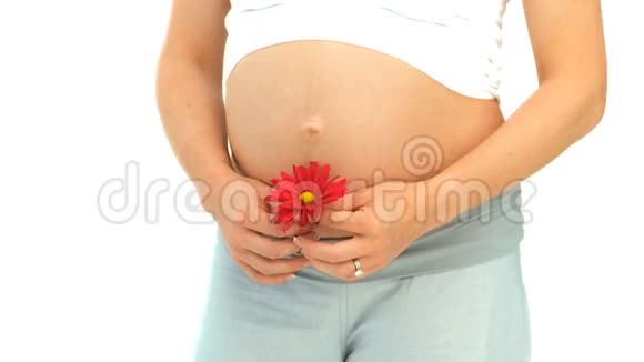 孕妇手捧红花视频的预览图