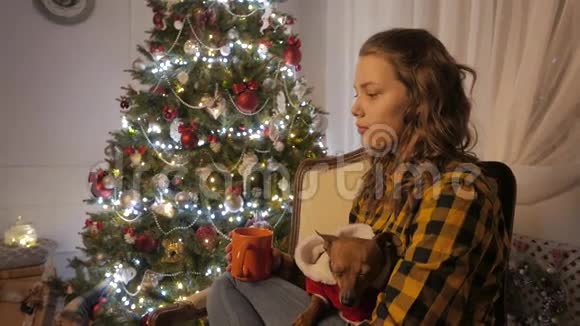 少女微笑着喝着杯子里的茶圣诞树和节日的心情4KUHD视频的预览图