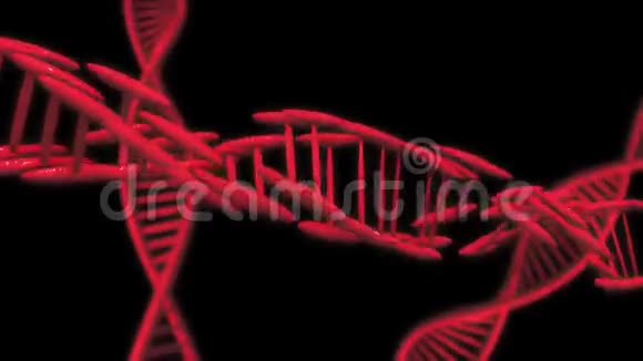 红色DNA延缓慢动作3D动画动画DNA链视频的预览图