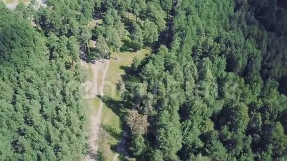从树上俯瞰小径剪辑夏季有高大树木的美丽公园的俯视图视频的预览图