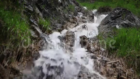 靠近一条小森林溪流上的瀑布视频的预览图