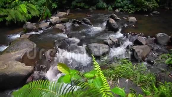山河自然景观溪溪景观溪溪景观视频的预览图