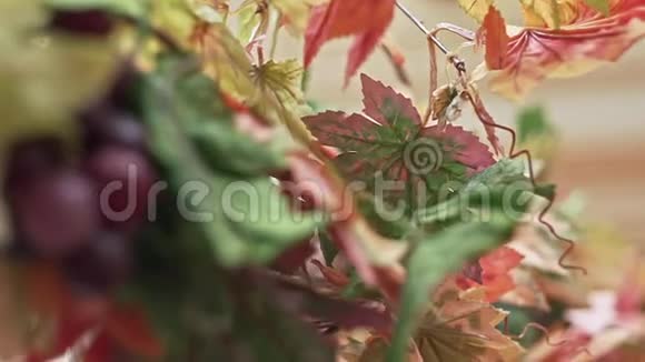 秋天公园的秋叶背景视频的预览图