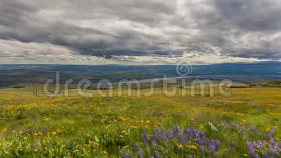 西瓦州玛丽希尔的野花盛开阳光和乌云视频的预览图