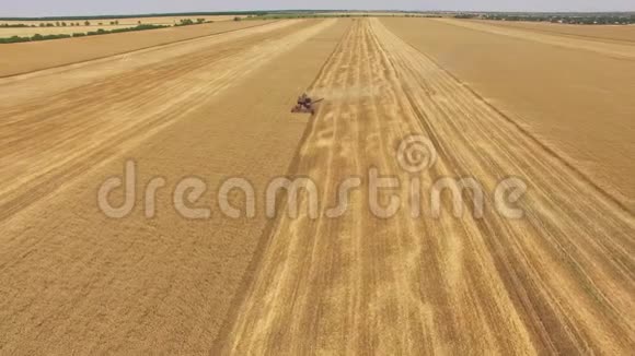 收割机收割时间农业农田联合收割机视频的预览图