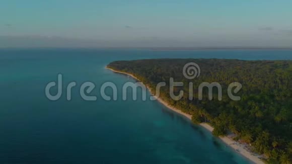 菲律宾热带海岸棕榈树环绕的空中日落景观视频的预览图