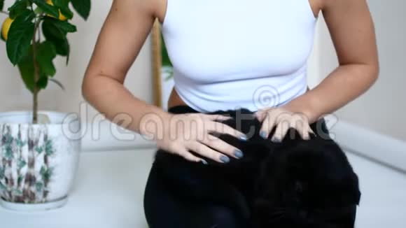 一个年轻漂亮的女孩正在她的公寓里休息一只黑猫坐在女人的怀里视频的预览图