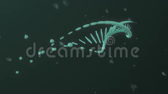 DNA螺旋进化视频的预览图