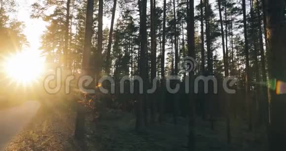 蜿蜒的乡村道路小径穿过秋天的森林太阳视频的预览图