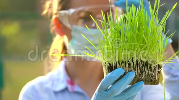 戴着护目镜和面具的女农学家检查土壤和植物样本视频的预览图