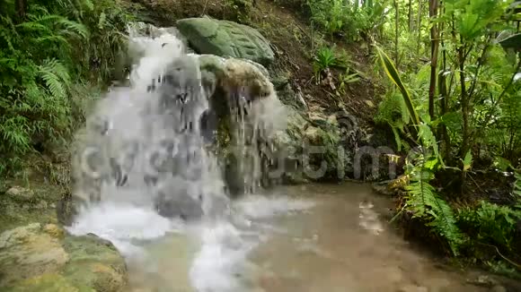 印度尼西亚爪哇热带丛林瀑布视频的预览图