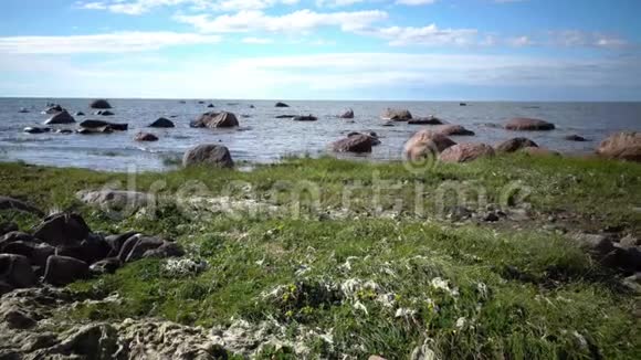 阳光明媚的夏日芬兰湾石质海岸全景视频的预览图