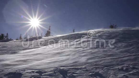 冬季景观寒冷的一天雪在阳光下闪闪发光视频的预览图