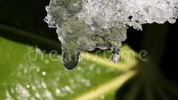 水从融化在阳光下的冰中滴落下来视频的预览图