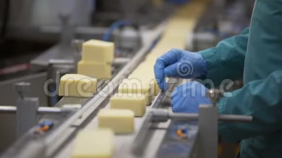 生产食品奶酪工厂制造工艺食品厂生产线上的奶酪轮视频的预览图