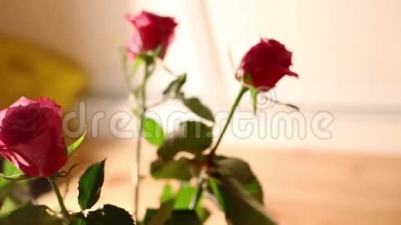 玫瑰花束多莉拍摄视频的预览图