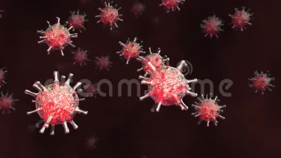 血液中病毒的红细胞视频的预览图