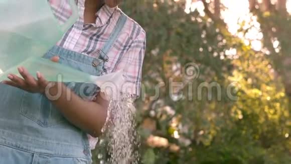 漂亮的年轻女人在给植物浇水视频的预览图
