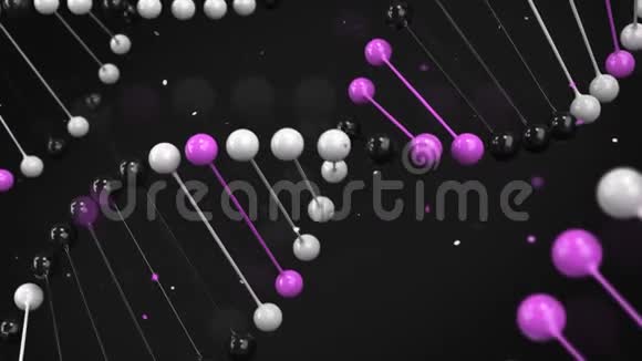 黑色白色和紫色DNA链在黑色背景上的光泽模型视频的预览图