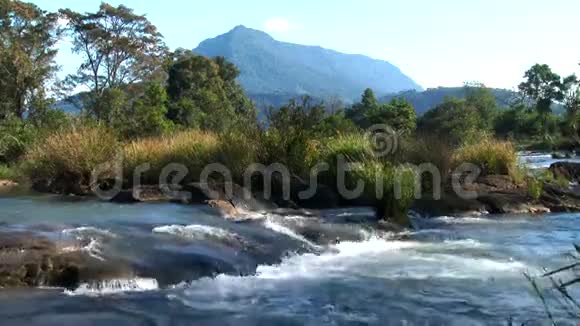 老挝波拉文高原的塔德洛河视频的预览图