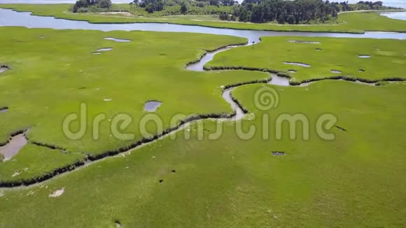 沼泽生境航空摄影视频的预览图