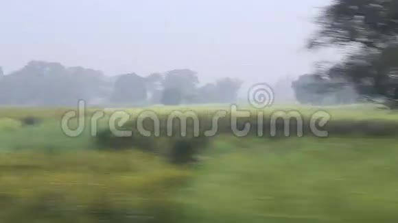 从一列移动的火车上观看Jodhpur的乡村景观视频的预览图