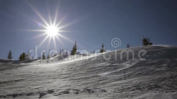 冬季景观寒冷的一天雪在阳光下闪闪发光视频的预览图