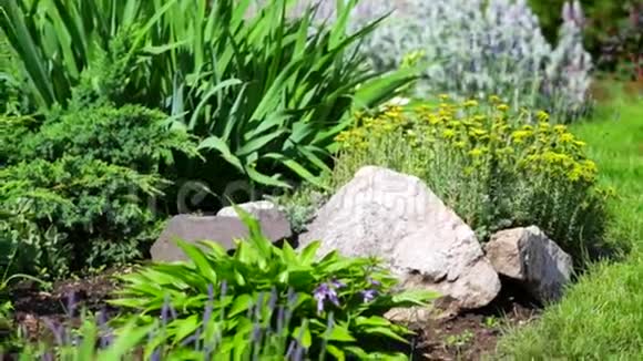 园林和花园一个美丽的庭院视频的预览图