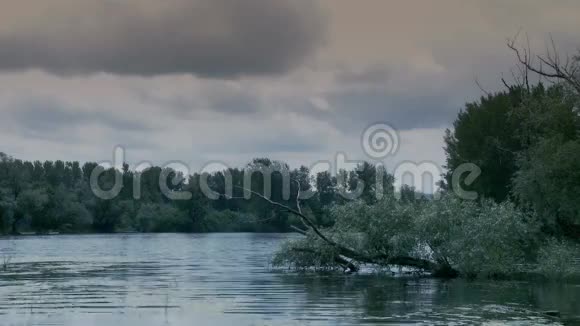 宁静的湖泊自然环境股票录像视频的预览图