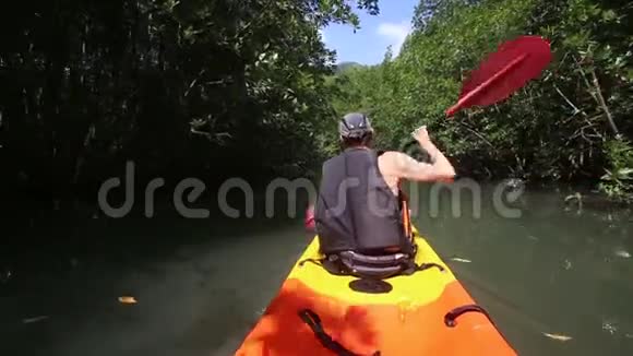 强壮的老人在红树林中划皮艇视频的预览图