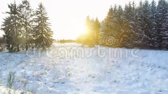 白雪皑皑的冬天美丽无声的风景视频的预览图