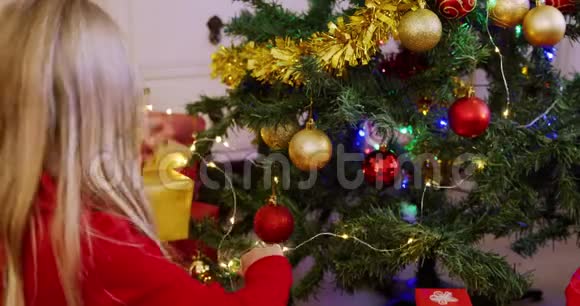 圣诞节的时候女孩在家视频的预览图