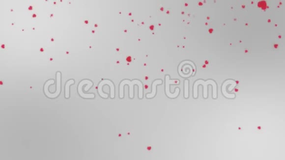 红心动画情人节视频的预览图