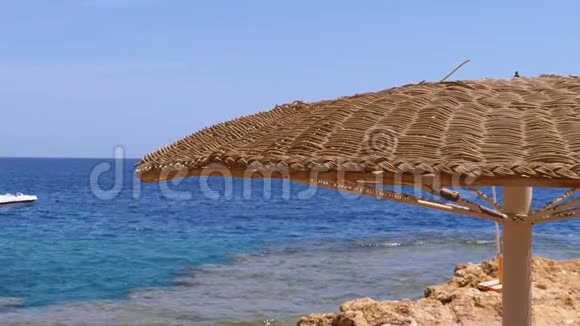 在埃及一片空旷的海滩在红海的珊瑚礁的背景下带着雨伞视频的预览图