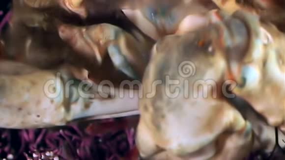 蟹爪中的虾在白海海底水下近口特写视频的预览图