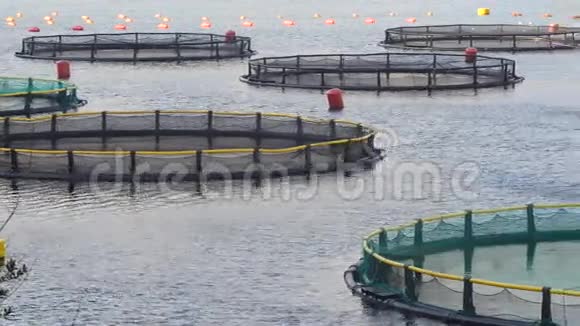 Kotor湾养鱼场视频的预览图