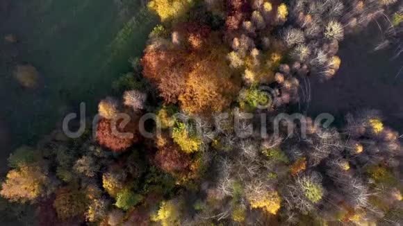 空中4k无人机视频秋季森林景观视频的预览图