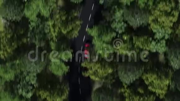 一辆红色汽车在森林道路上超速行驶视频的预览图