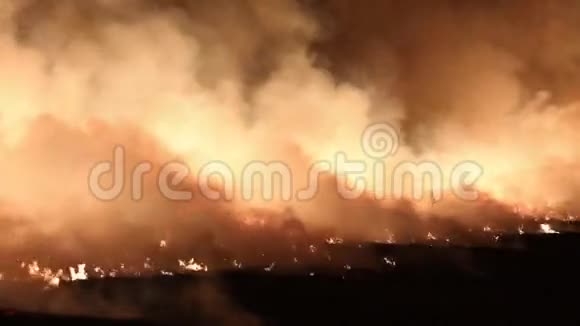 火和烟火灾发生在现场视频的预览图