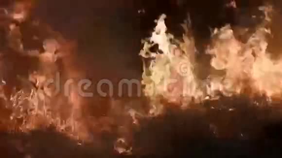 火和烟火灾发生在现场视频的预览图