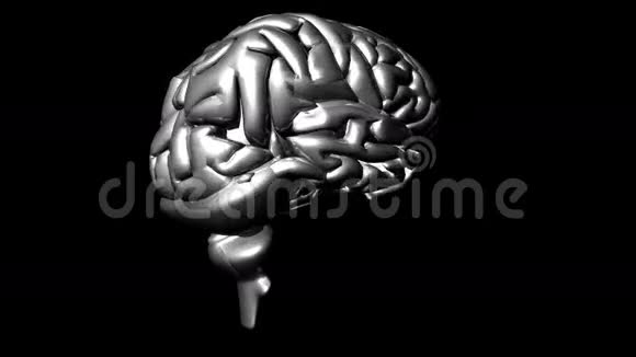 人类大脑3视频的预览图