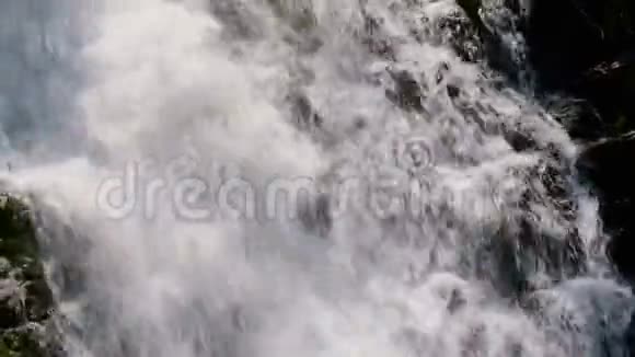 夏天森林里的瀑布视频的预览图