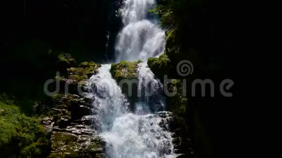 夏天森林里的瀑布视频的预览图