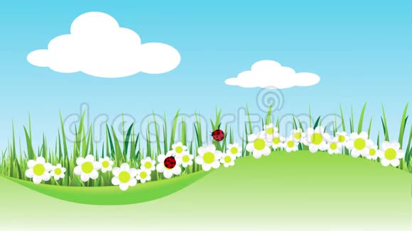 花和瓢虫是春天的标志视频的预览图