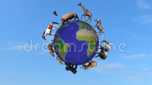 动物环绕着世界地球视频的预览图