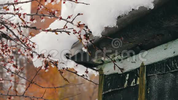 房子角落的屋顶上有一顶大雪帽视频的预览图