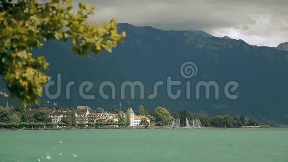 日内瓦湖高山之间一片风景如画的池塘视频的预览图