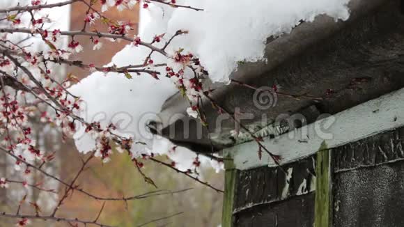 屋角屋顶大雪帽春天融化的雪视频的预览图