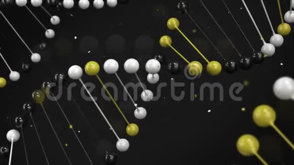 黑色白色和黄色DNA链在黑色背景上的光泽模型视频的预览图