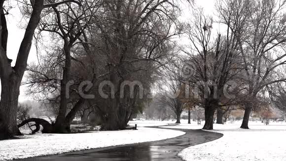 雪暴雪公共公园冬天视频的预览图